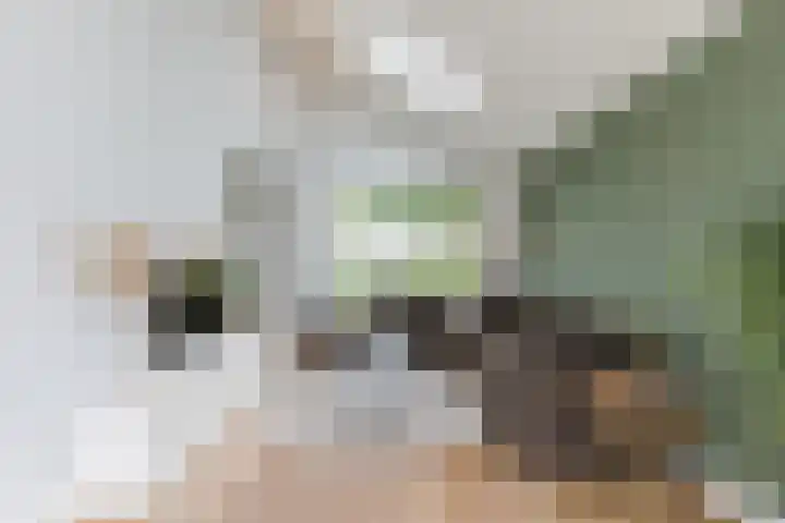 Herbertuslaan 2 Heeze thumbnail 12