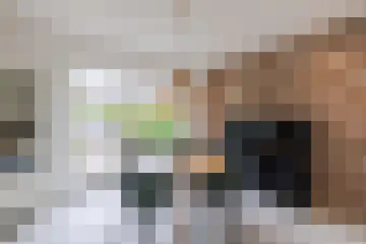 Herbertuslaan 2 Heeze thumbnail 15