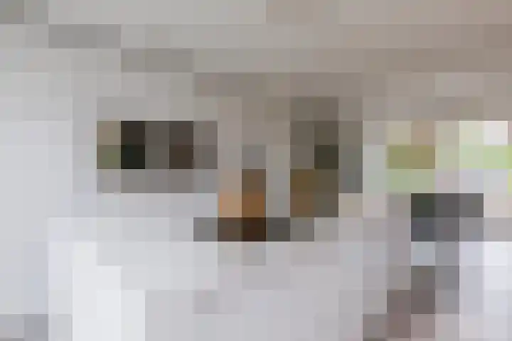 Herbertuslaan 2 Heeze thumbnail 16
