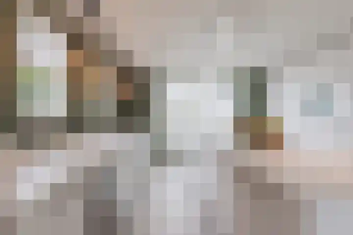 Herbertuslaan 2 Heeze thumbnail 17