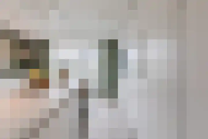 Herbertuslaan 2 Heeze thumbnail 19