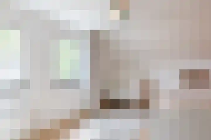 Herbertuslaan 2 Heeze thumbnail 29