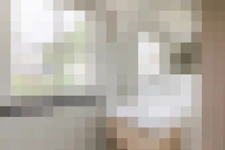 Herbertuslaan 2 Heeze thumbnail 34