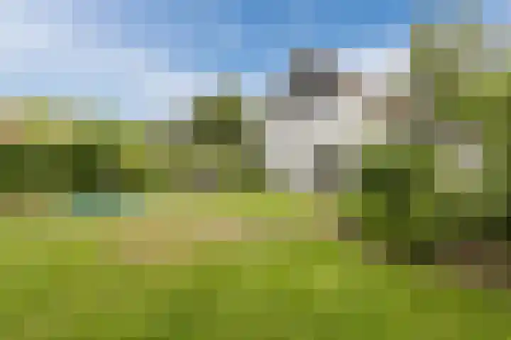 Herbertuslaan 2 Heeze thumbnail 40
