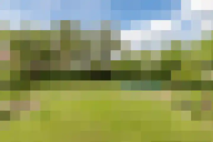 Herbertuslaan 2 Heeze thumbnail 42