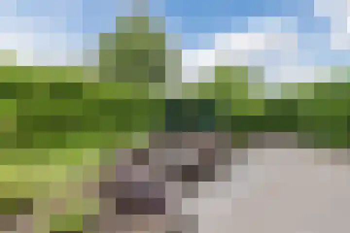 Herbertuslaan 2 Heeze thumbnail 43