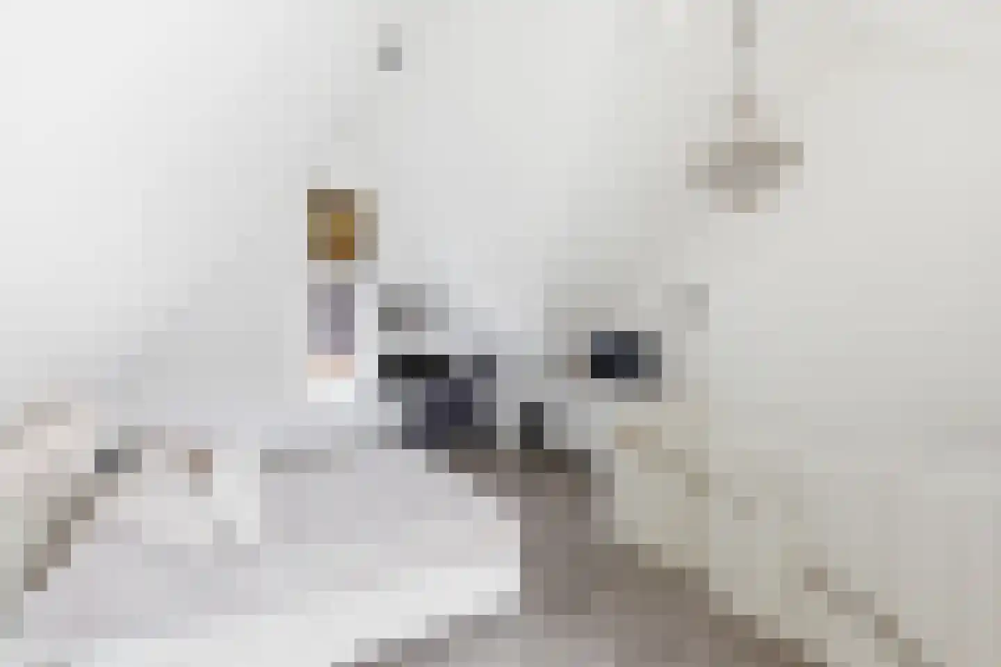 Herbie Mannstraat 1 Middelburg thumbnail 26