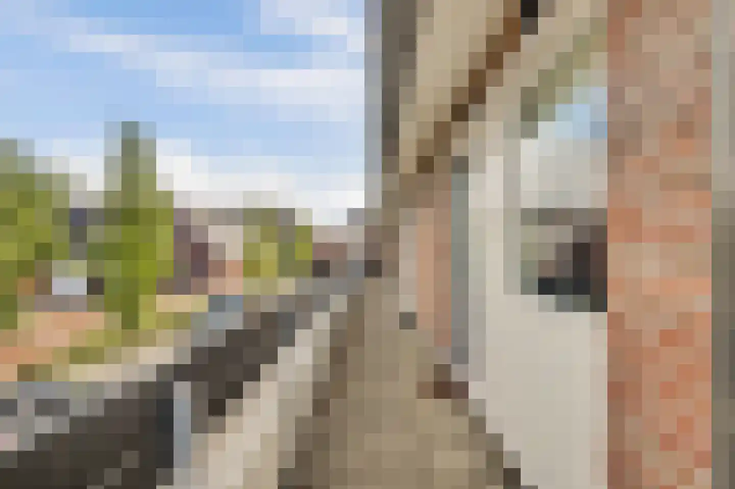 Herckenrathstraat 46 Monster thumbnail 33
