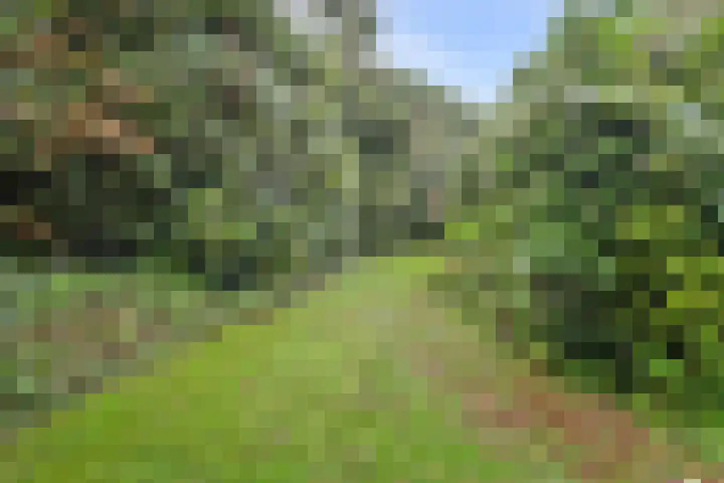 Herckenrathweg 8 Bemmel thumbnail 11