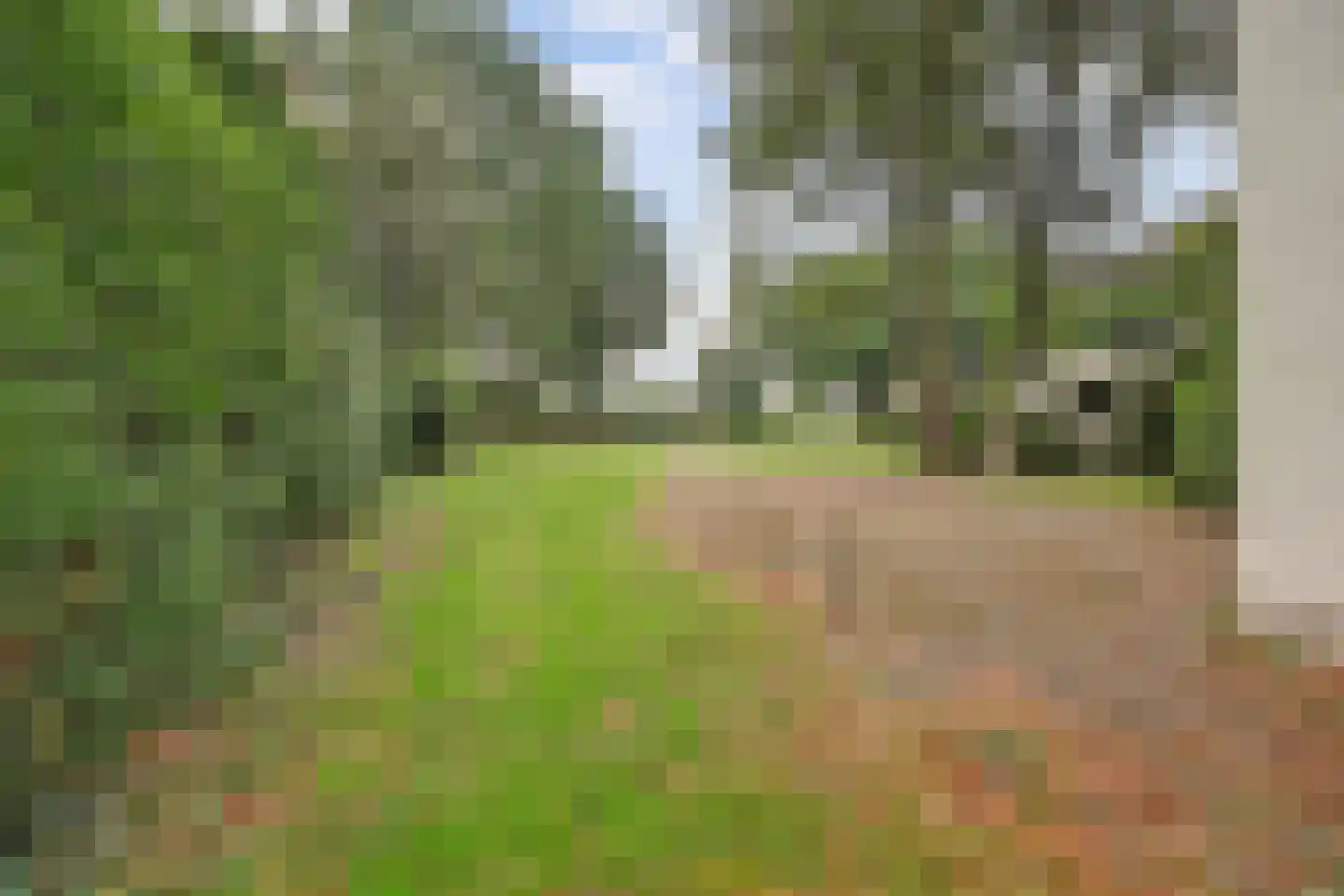 Herckenrathweg 8 Bemmel thumbnail 15