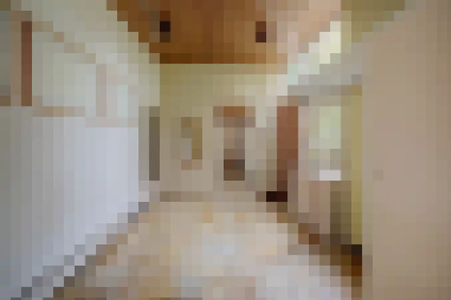 Herckenrathweg 8 Bemmel thumbnail 5