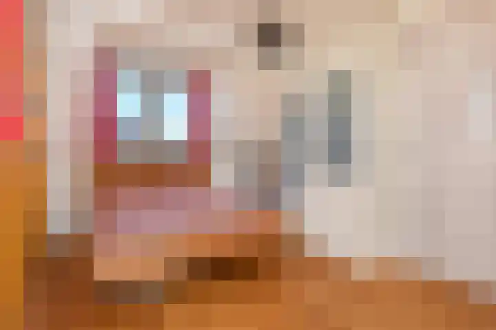Hercules 10 Nootdorp thumbnail 36