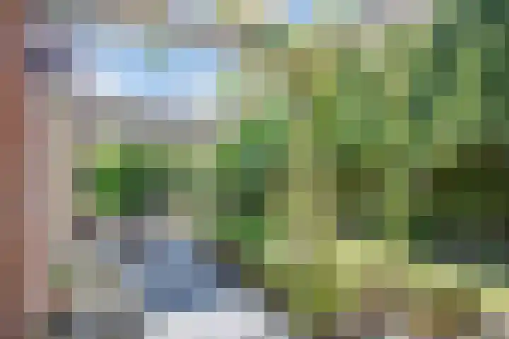 Hercules 10 Nootdorp thumbnail 45