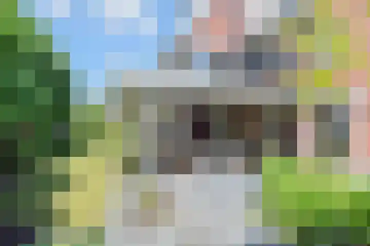 Hercules 10 Nootdorp thumbnail 50