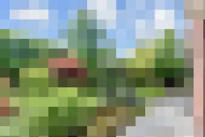 Hercules 10 Nootdorp thumbnail 52