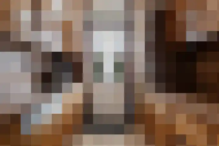 Hercules Segherslaan 21 Eindhoven thumbnail 16