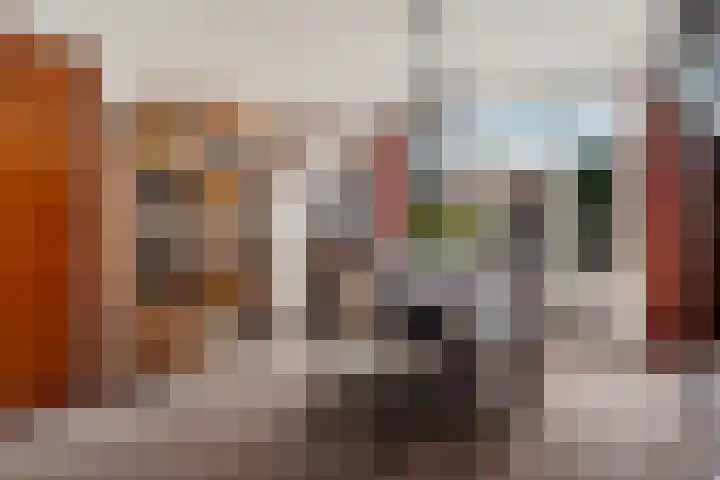 Hercules Segherslaan 21 Eindhoven thumbnail 9