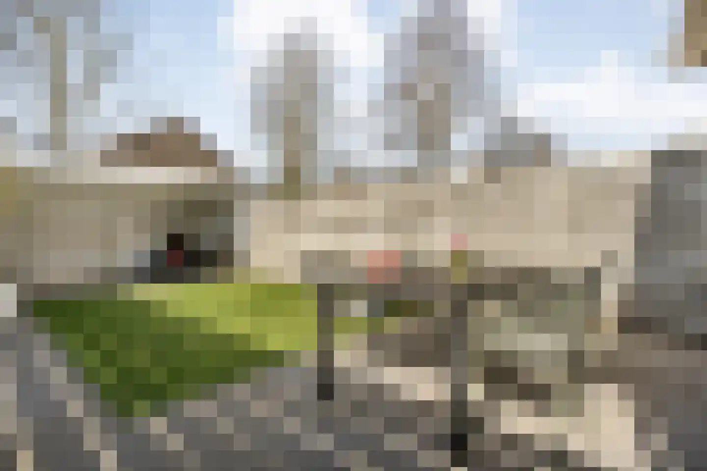 Hercules Segherslaan 34 Meppel thumbnail 39