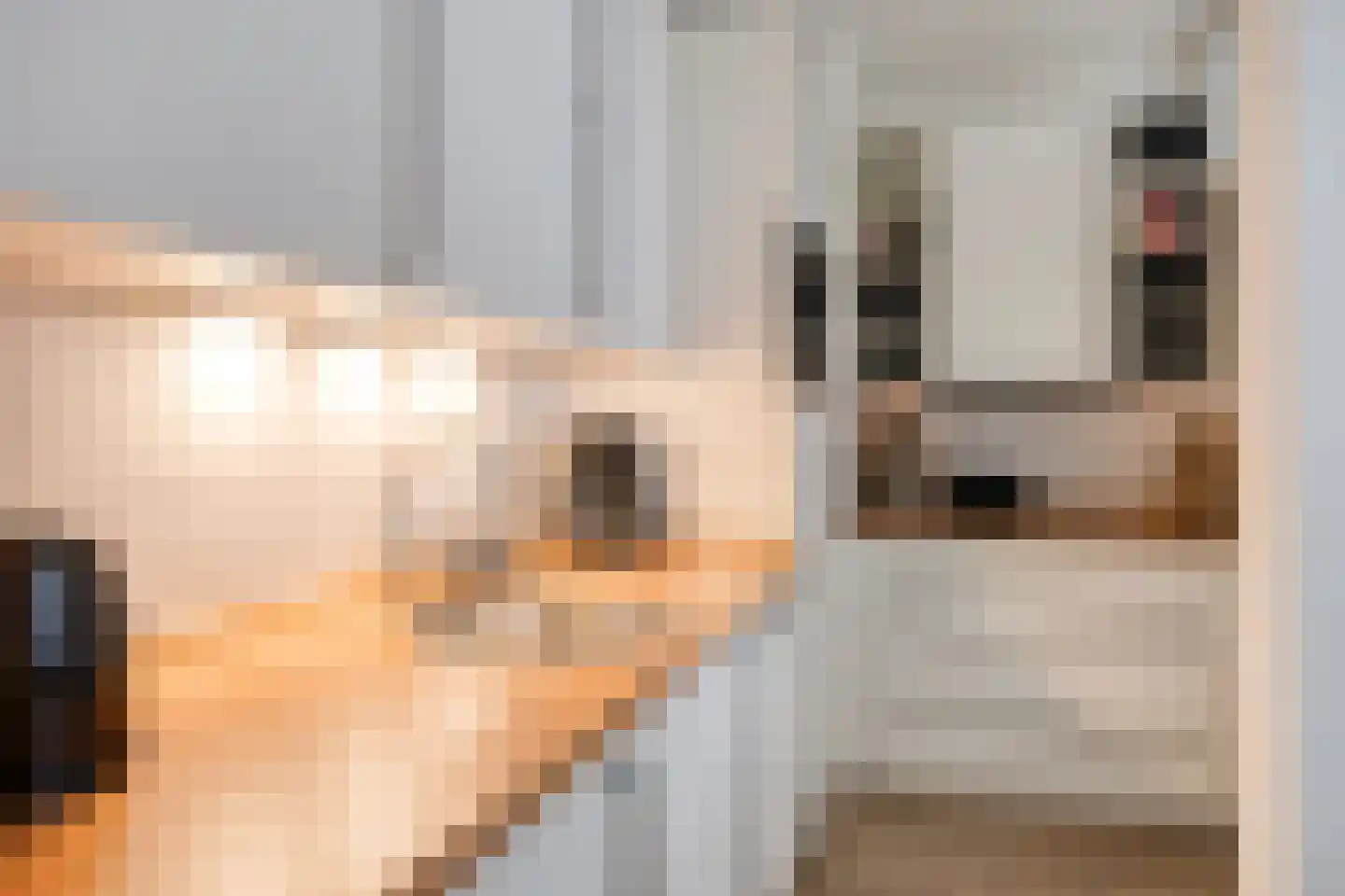 Herculeshof 1 K Maastricht thumbnail 9