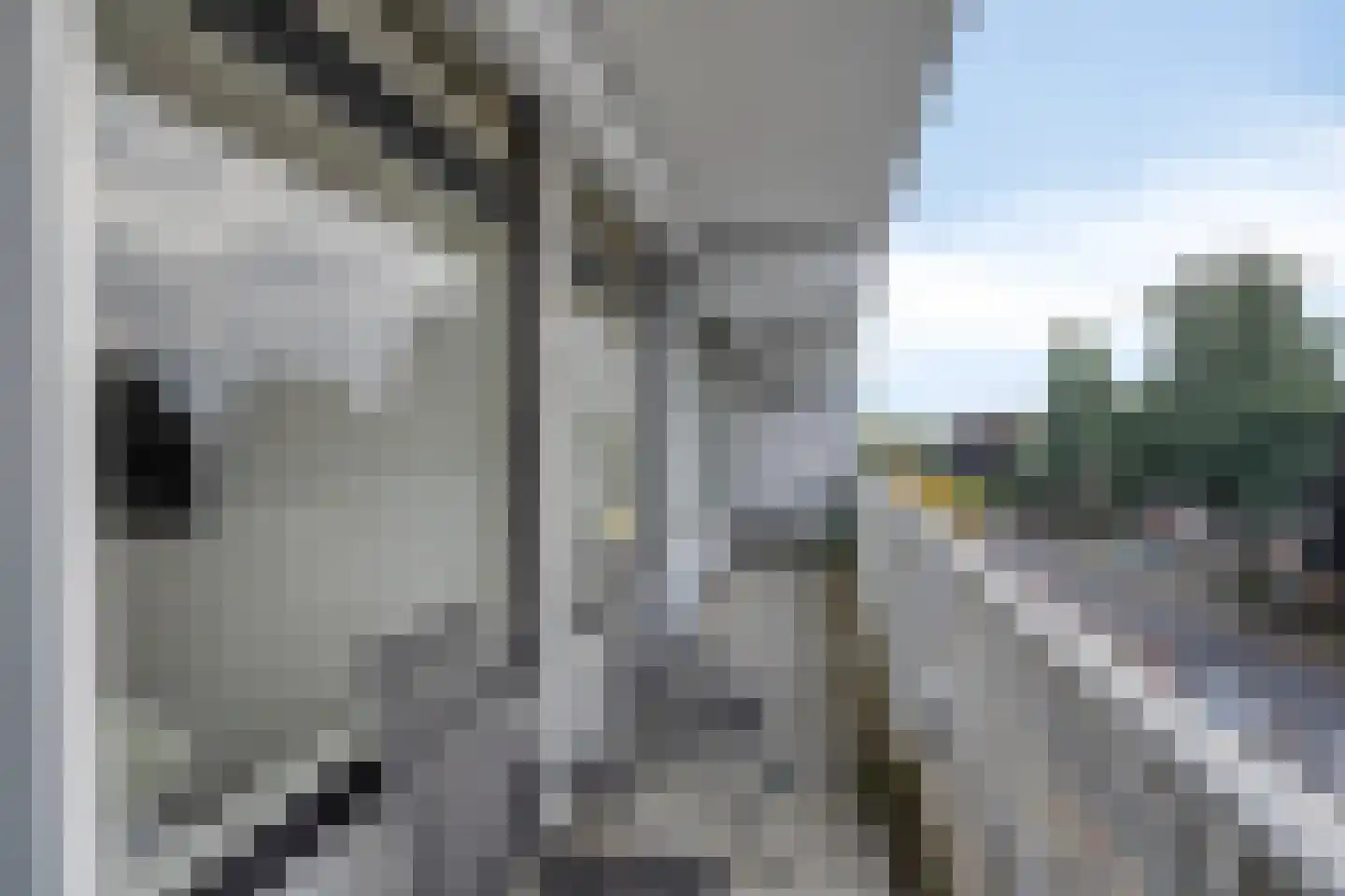 Herculeshof 17 D Maastricht thumbnail 18