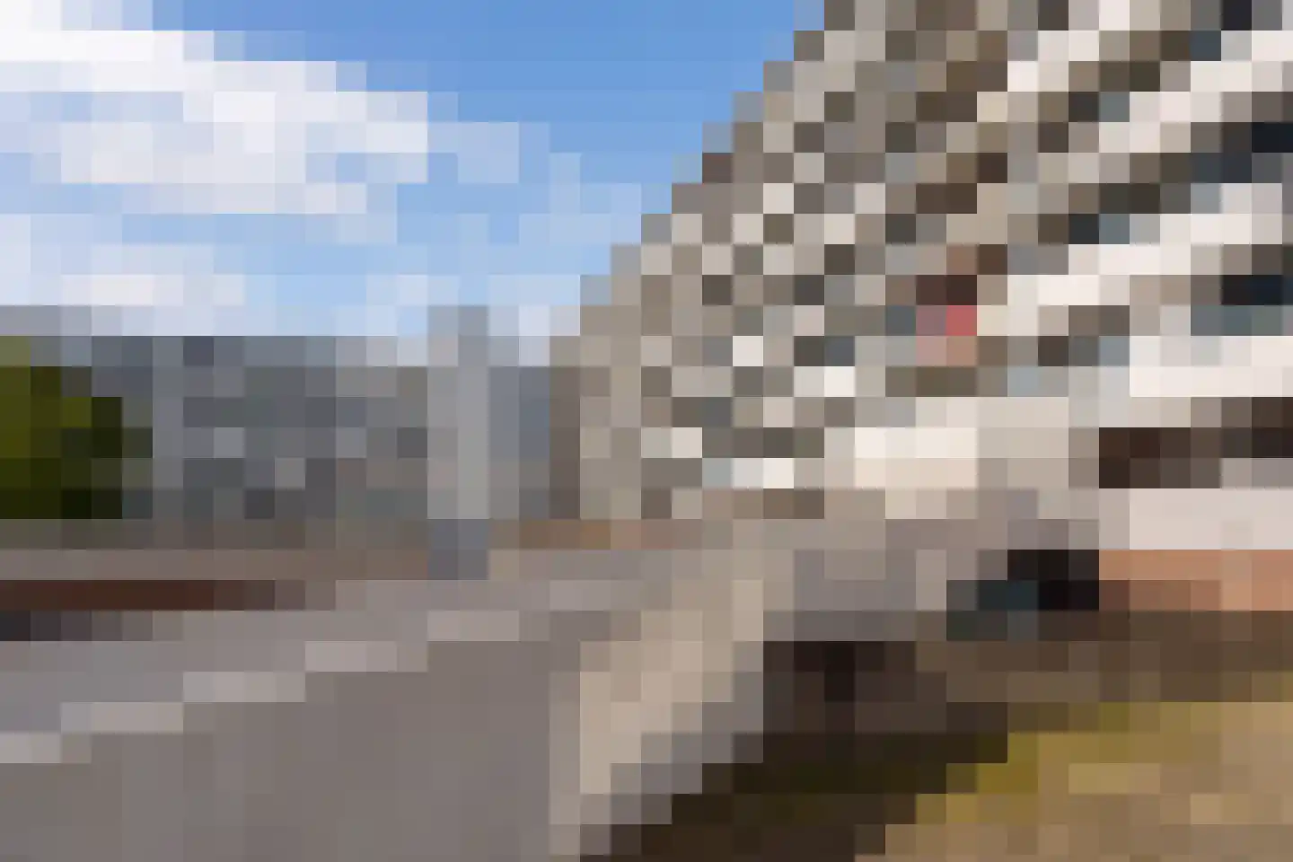 Herculeshof 37 C Maastricht thumbnail 26