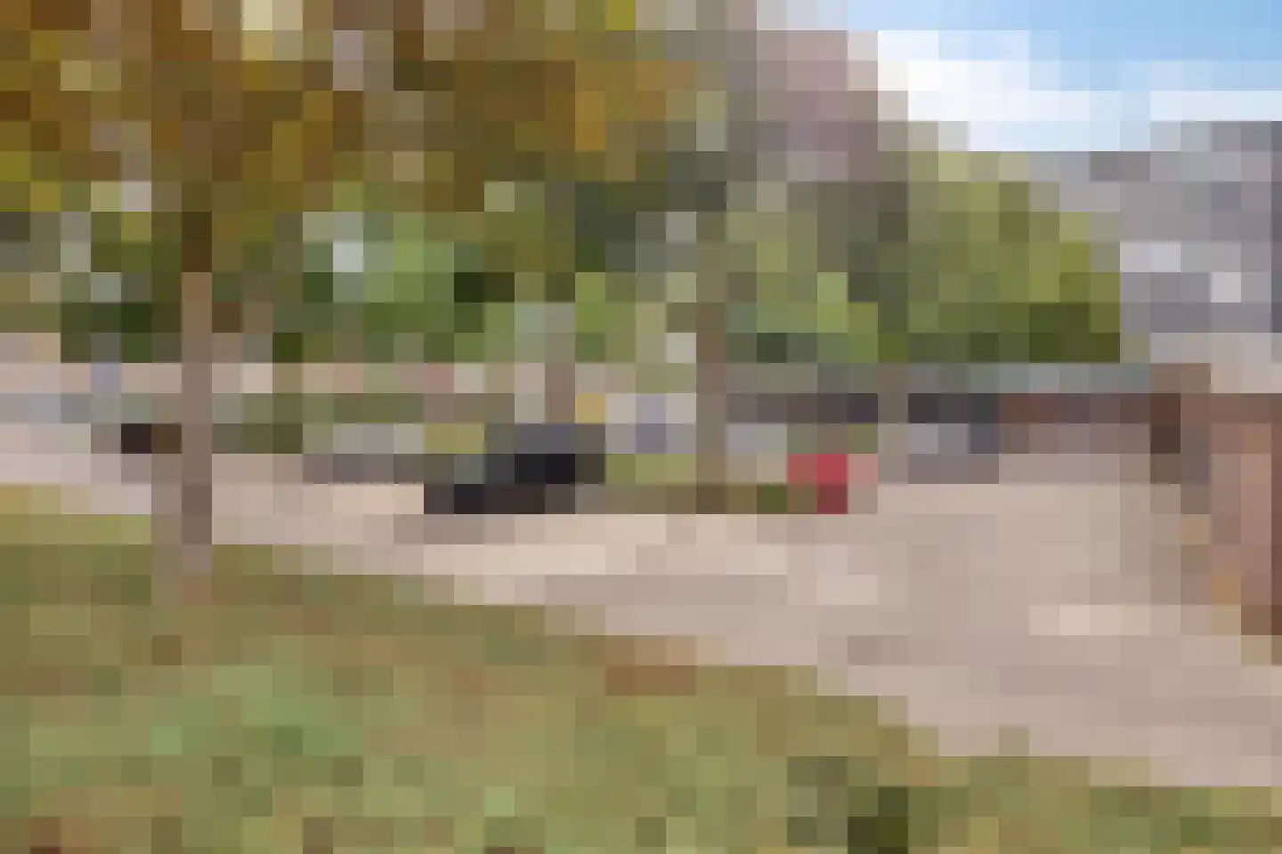 Herculeshof 37 E Maastricht thumbnail 20