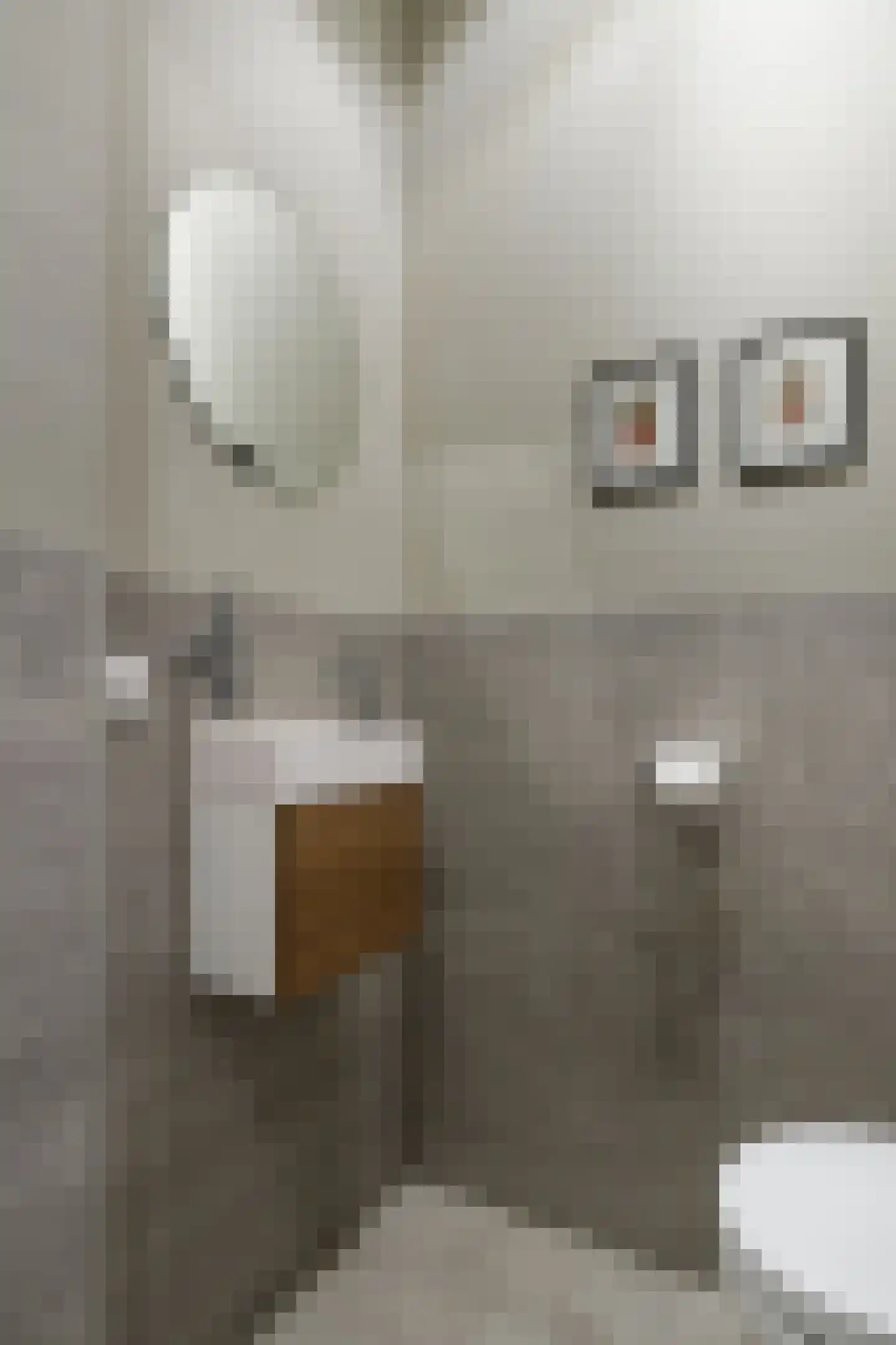 Herculeslaan 124 Utrecht thumbnail 15