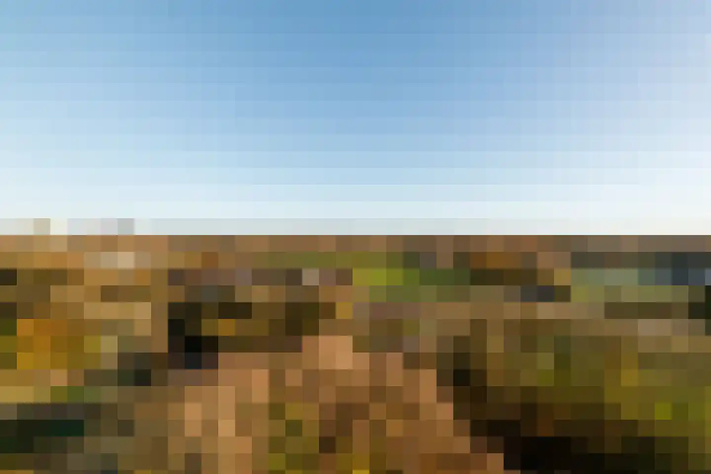 Herculeslaan 124 Utrecht thumbnail 18