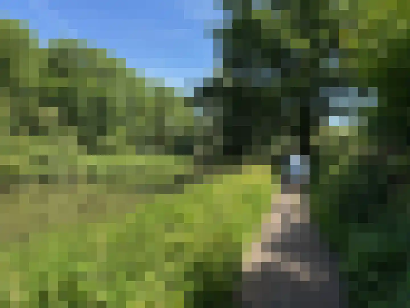Herculeslaan 124 Utrecht thumbnail 4