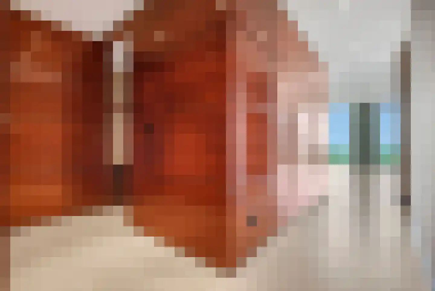 Herculeslaan 130 Utrecht thumbnail 20