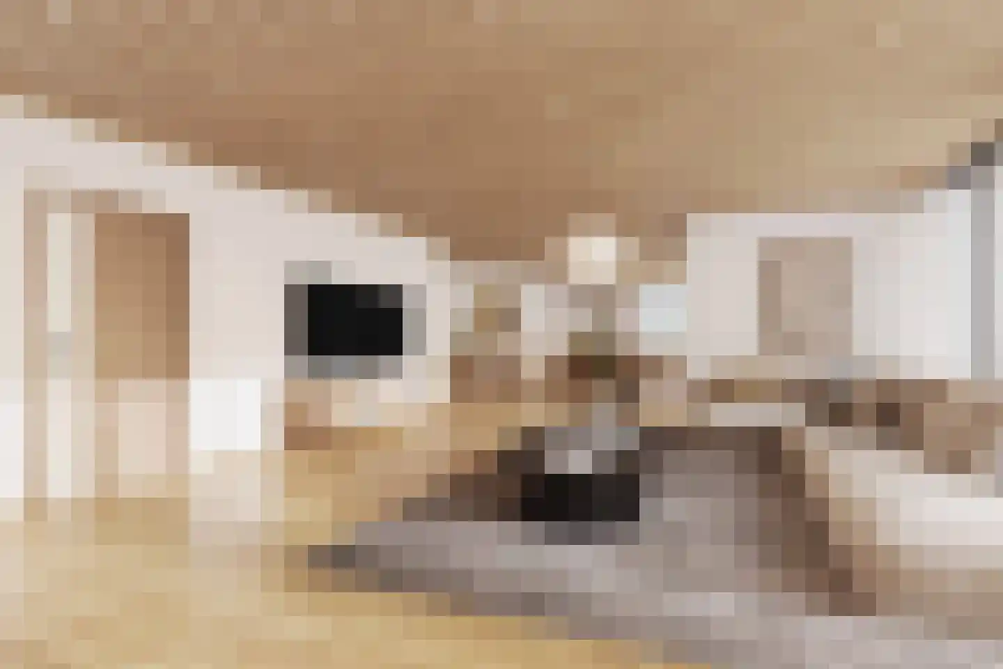 Herculeslaan 130 Utrecht thumbnail 24