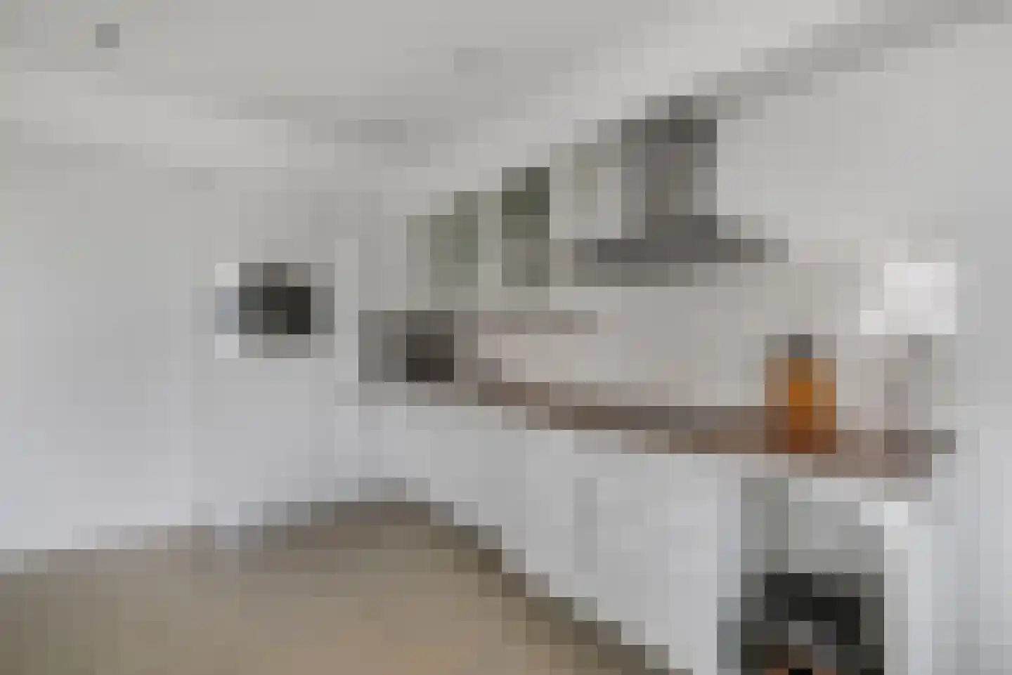 Herculeslaan 130 Utrecht thumbnail 54