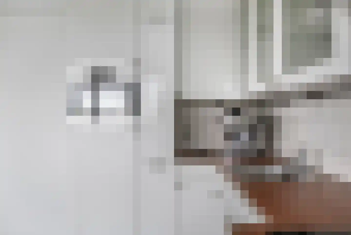 Herculeslaan 130 Utrecht thumbnail 58