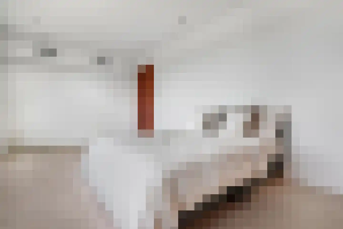 Herculeslaan 130 Utrecht thumbnail 67