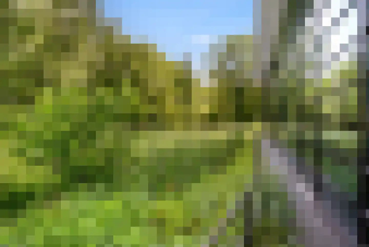 Herculeslaan 130 Utrecht thumbnail 89