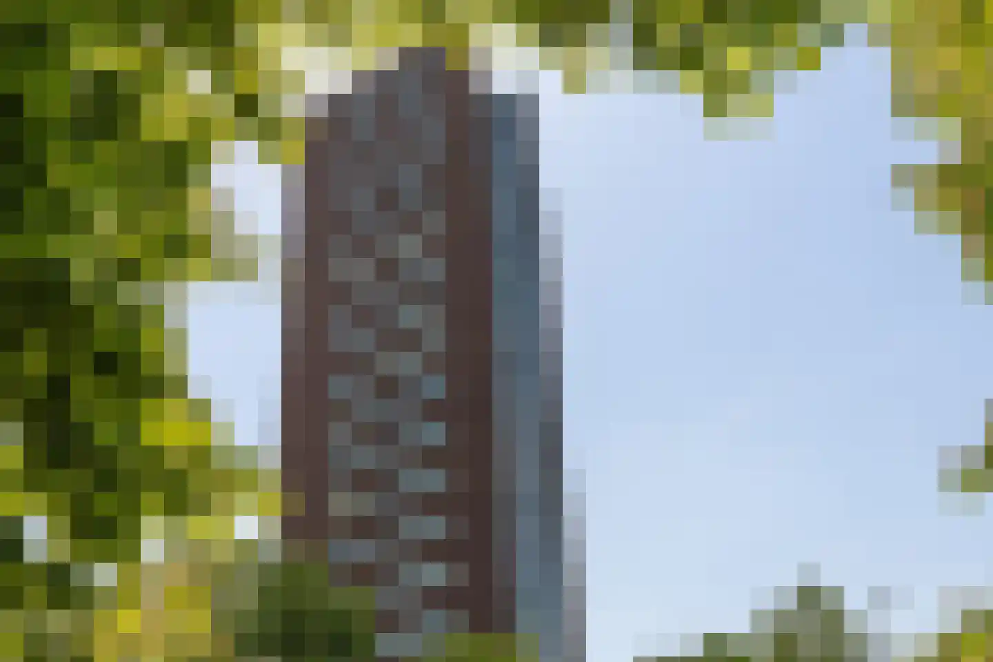 Herculeslaan 138 Utrecht thumbnail 45