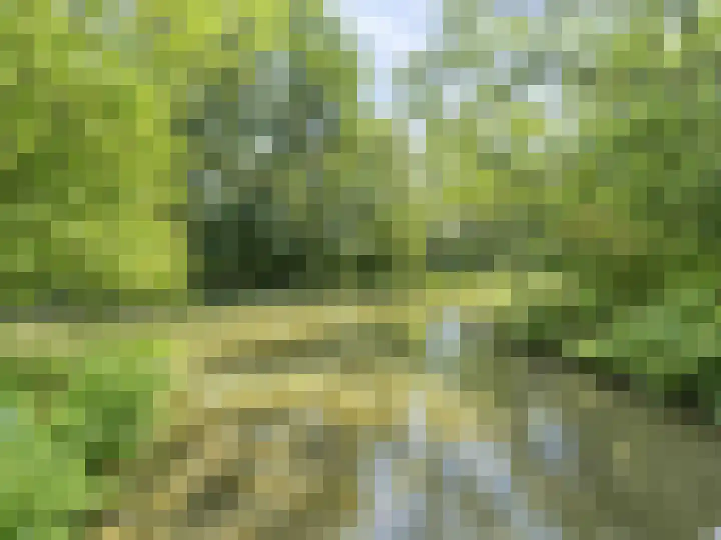 Herculeslaan 162 Utrecht thumbnail 48