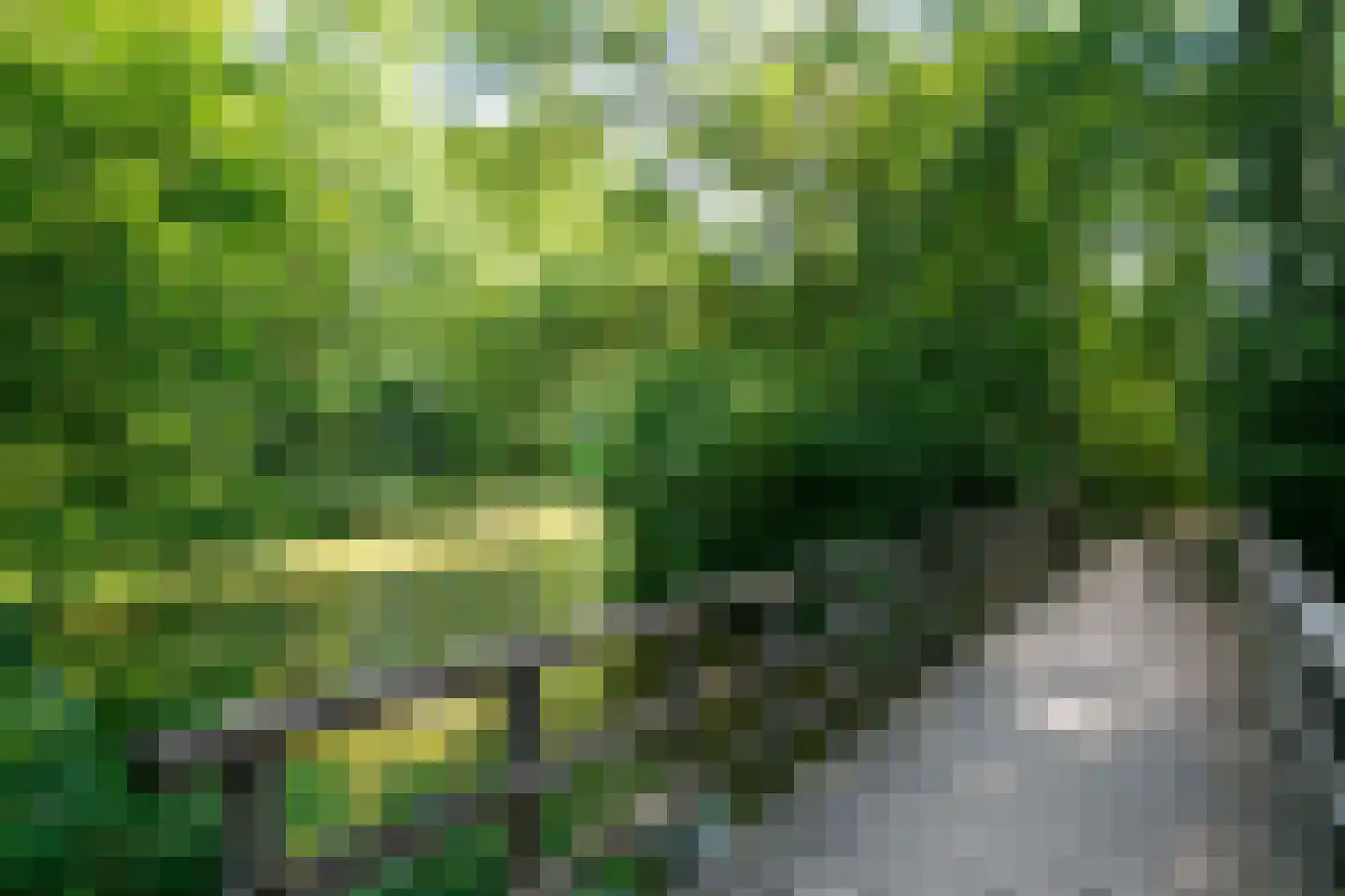 Herculeslaan 162 Utrecht thumbnail 5