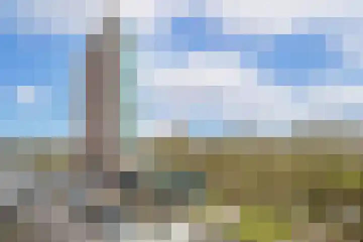 Herculeslaan 56 Utrecht thumbnail 11