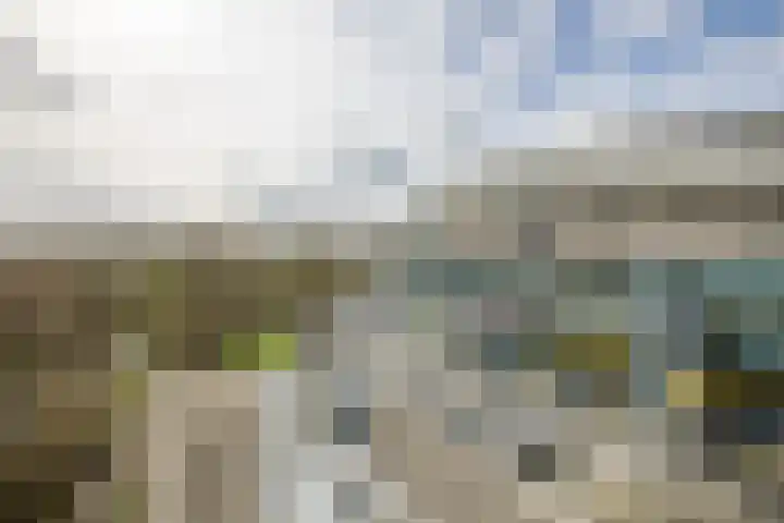 Herculeslaan 56 Utrecht thumbnail 24