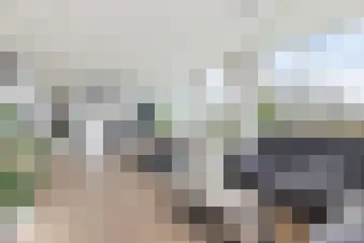 Herculeslaan 56 Utrecht thumbnail 26