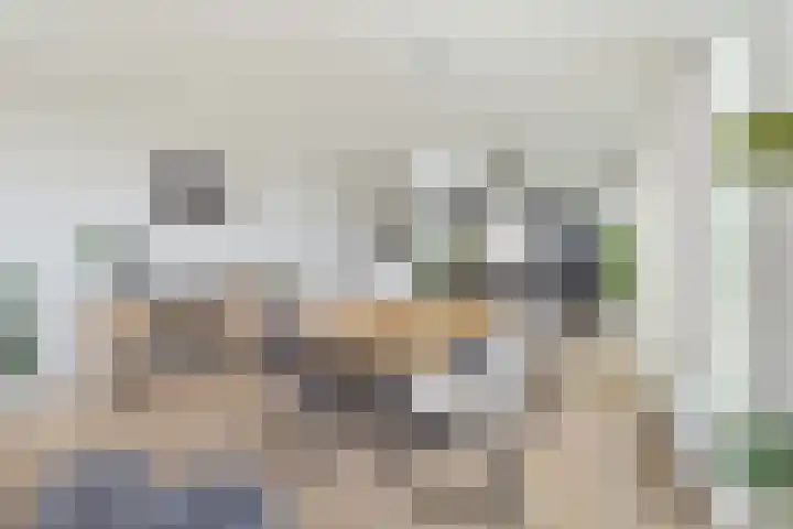 Herculeslaan 56 Utrecht thumbnail 29