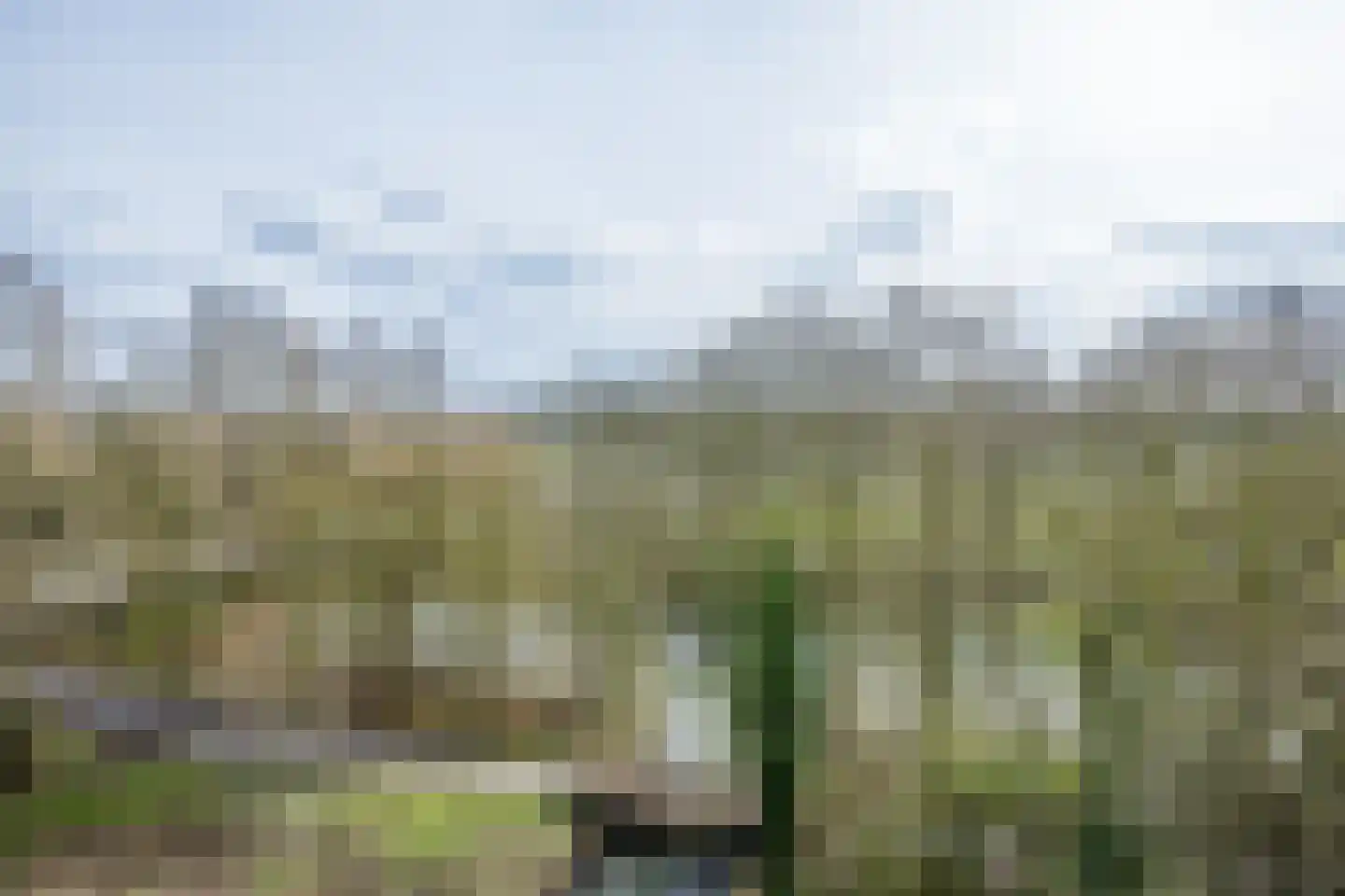 Herculeslaan 56 Utrecht thumbnail 40