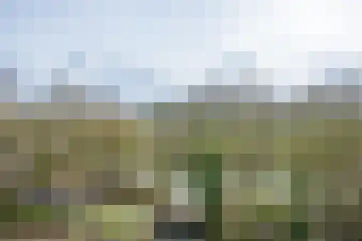 Herculeslaan 56 Utrecht thumbnail 40