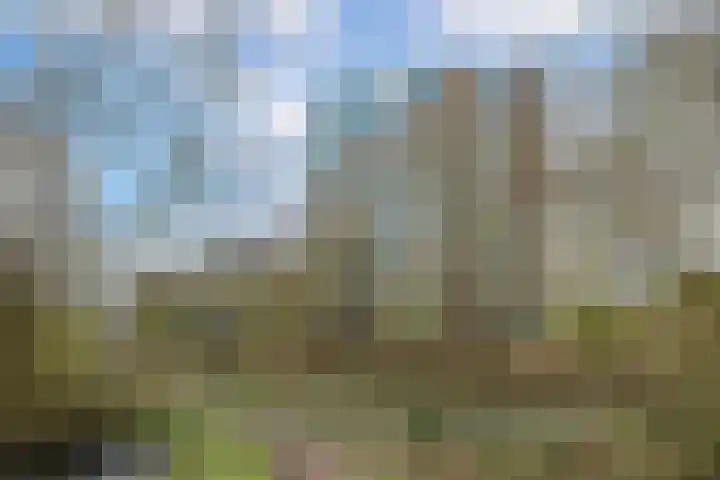 Herculeslaan 56 Utrecht thumbnail 59