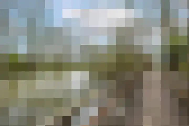 Herculeslaan 56 Utrecht thumbnail 61