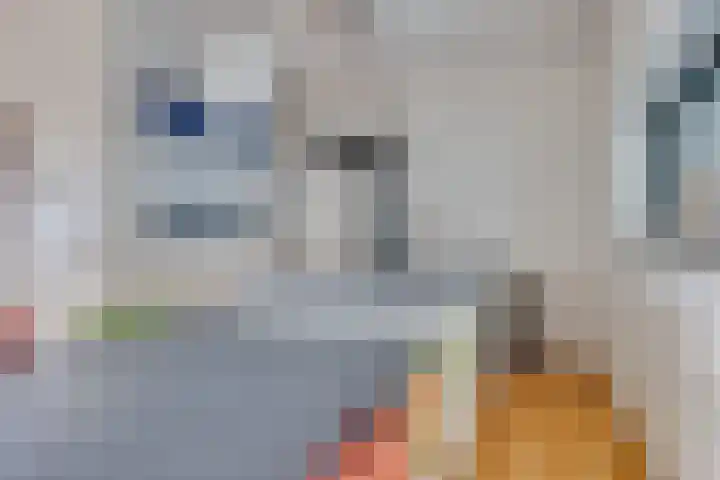 Herculeslaan 74 Utrecht thumbnail 12