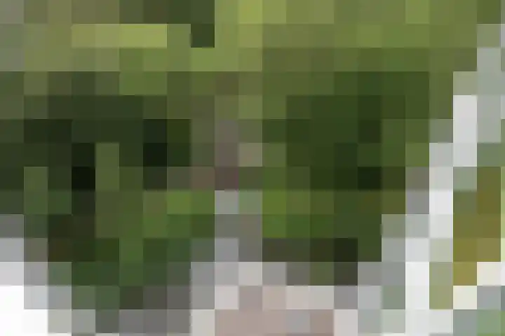 Herculeslaan 74 Utrecht thumbnail 27
