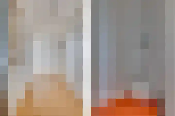 Herculeslaan 74 Utrecht thumbnail 28