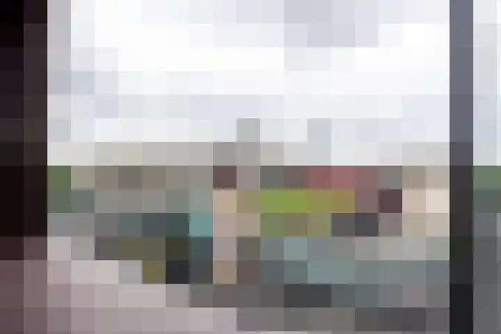 Herculeslaan 74 Utrecht thumbnail 32